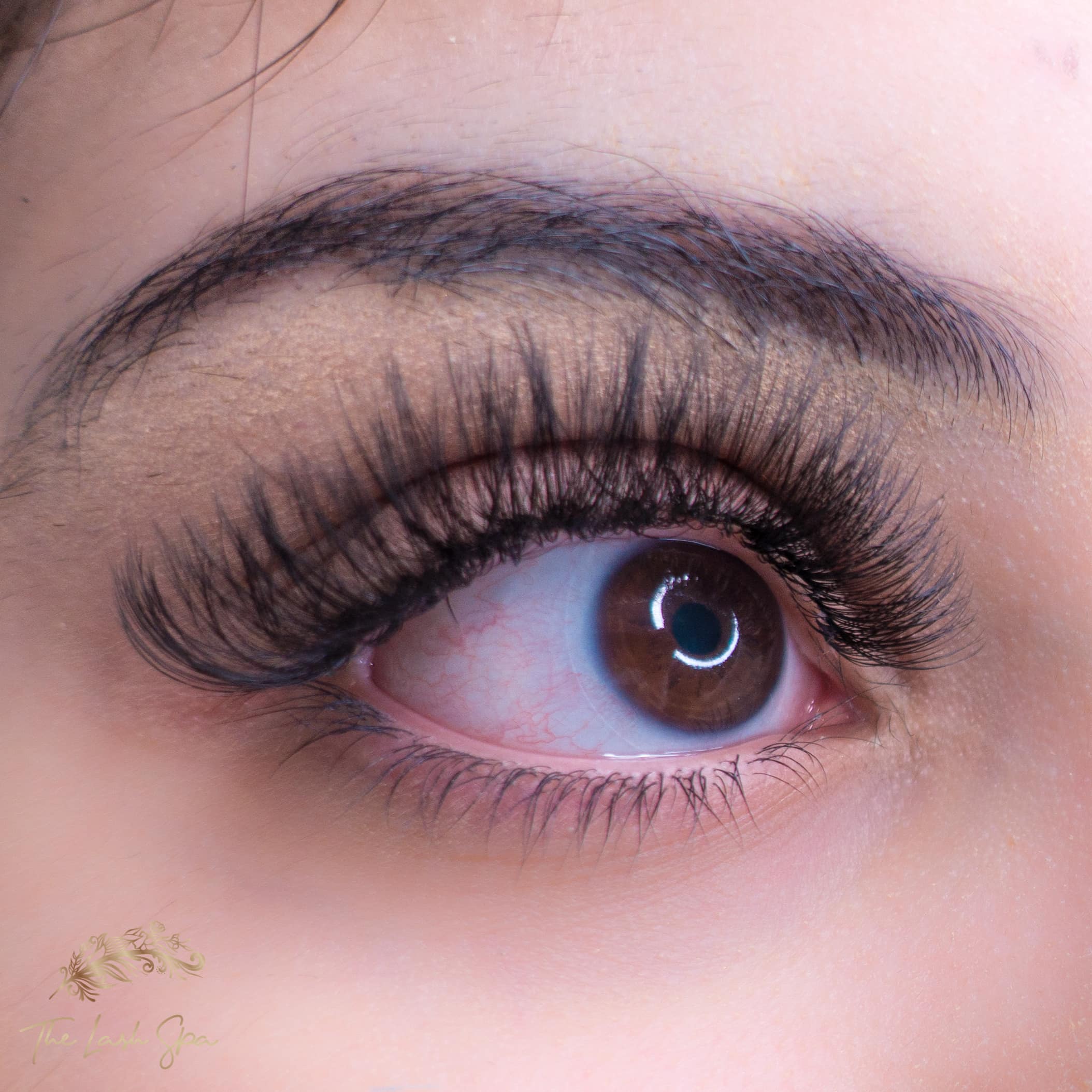 Eyelash extensions near Robina